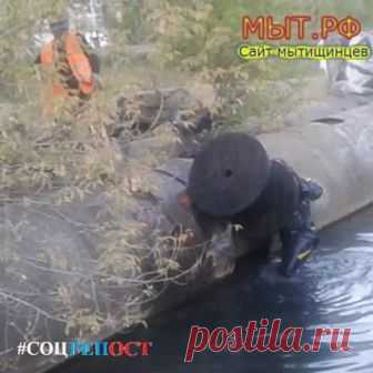 Мытищи Мыт.РФ #Мытищи Водолаз на Яузе в Мытищах Реабилитация и очистка реки Яузы, расчистка русла реки, водолазные работы Альянс-Сервис