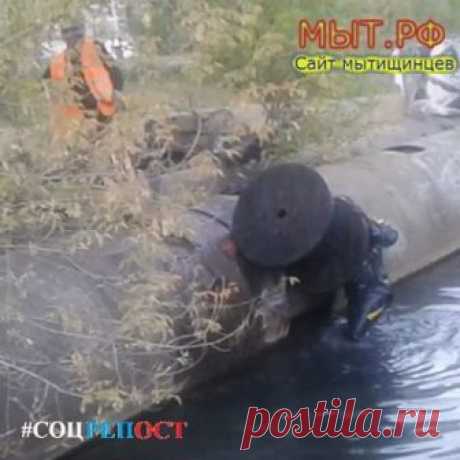 Мытищи Мыт.РФ #Мытищи Водолаз на Яузе в Мытищах Реабилитация и очистка реки Яузы, расчистка русла реки, водолазные работы Альянс-Сервис
