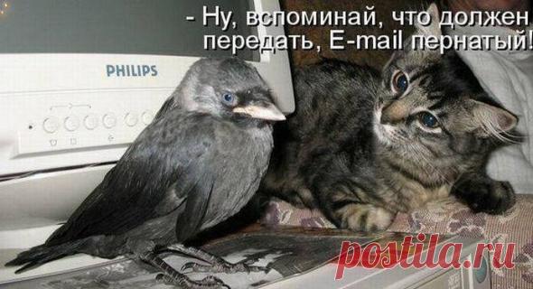 Лилия Советкина | ВКонтакте