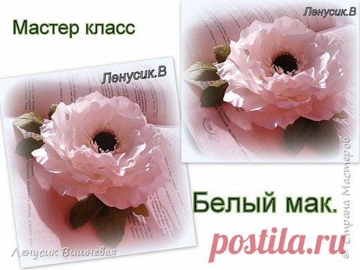 МОЙ ФОАМИРАН