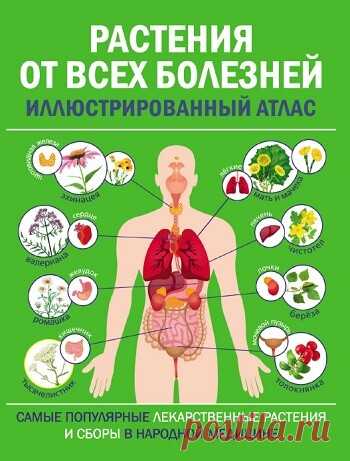Растения от всех болезней. Иллюстрированный атлас 2022