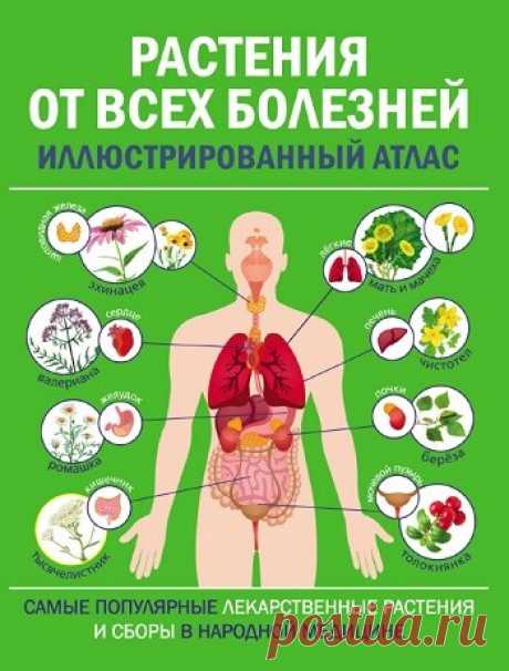 Растения от всех болезней. Иллюстрированный атлас 2022