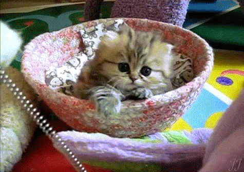 ВПЕРВЫЕ!!! МЕГА ВОЗМОЖНОСТЬ!!! Присоединяйся к нам в Команду КАРЬЕРА WEB 2.0 , деньги для входа не нужны! У тебя есть целый год, чтобы стать Менеджером и ПОЕХАТЬ В АНТАЛЬЮ НА МЕГА ЗОЛОТУЮ КОНФЕРЕНЦИЮ 2016 !!! Подробнее ➡