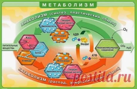 Здоровье сегодня – Google+