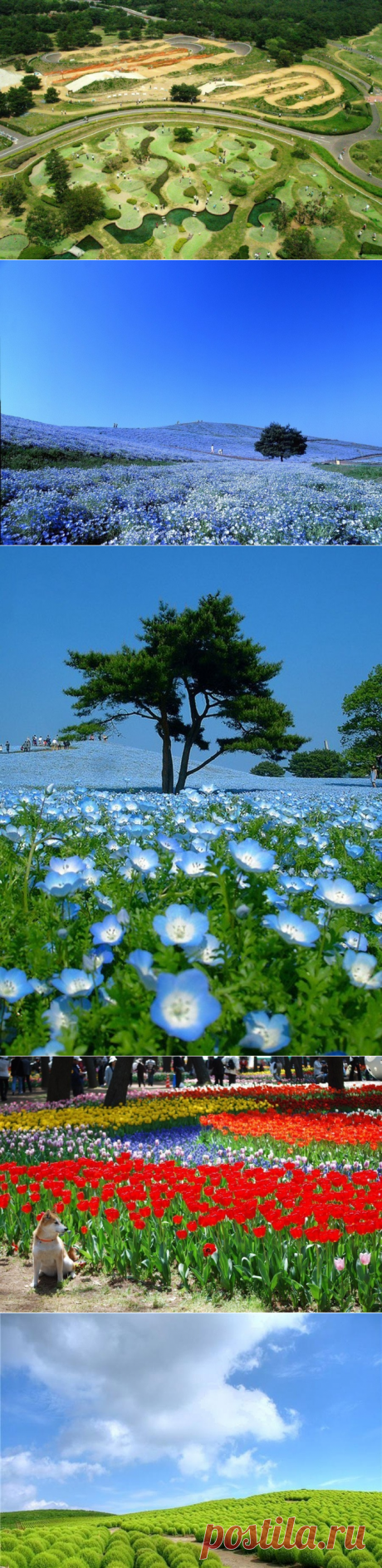 Парк Хитачи-Сисайд, Япония - Путешествуем вместе