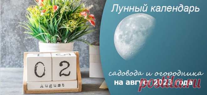 Лунный календарь на август 2023 года огородника и садовода для посадки, посева, ухода и сбора урожая Удачный Лунный календарь для всех садовых и огородных работ, актуальных в августе. Благоприятные и неблагоприятные дни для уборки урожая на хранение, новых посевов и посадок, пересадок, обрезки, подкормок, прививок и пр.