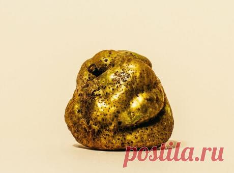 Самые необычные сорта яблок