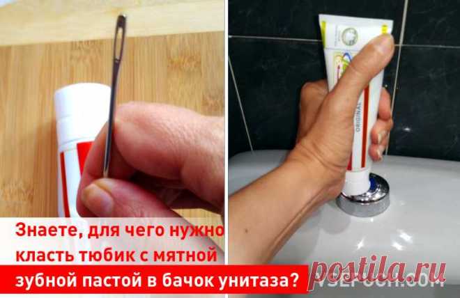 Знаете, для чего нужно класть тюбик с мятной зубной пастой в бачок унитаза? Знаете для чего нужно класть тюбик с мятной зубной пастой в бачок унитаза?