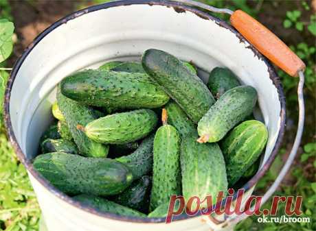 1 непрочитанный чат