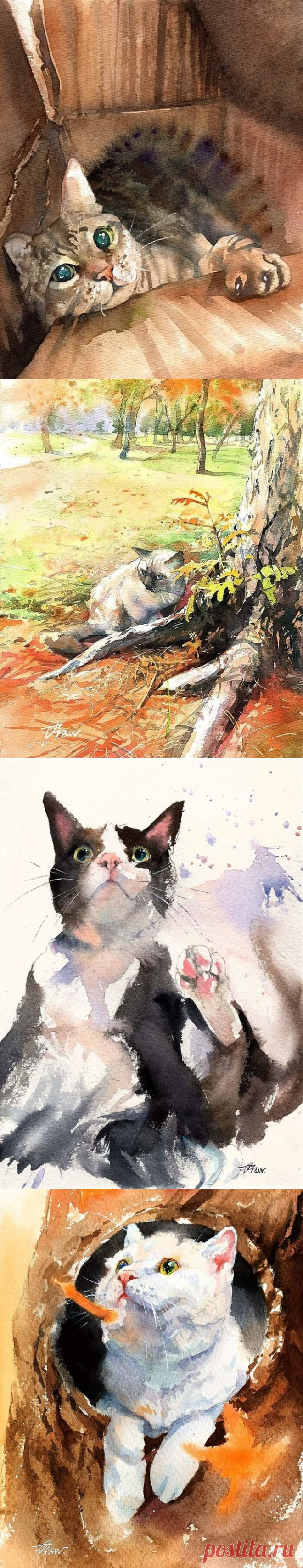 Кошачья жизнь в акварельных картинах Draw An