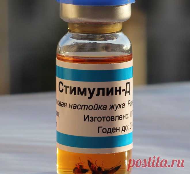 Стимулин: уникальное лекарство В древне-тибетской книге «Чжуд-Ши» говорится, что лучшим средством, очищающим сосуды, являются нарывниковые жуки, приготовленные специальным образом