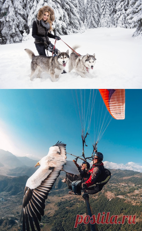 Картинки и фотографии на просторах интернета