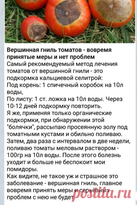 (998) Pinterest