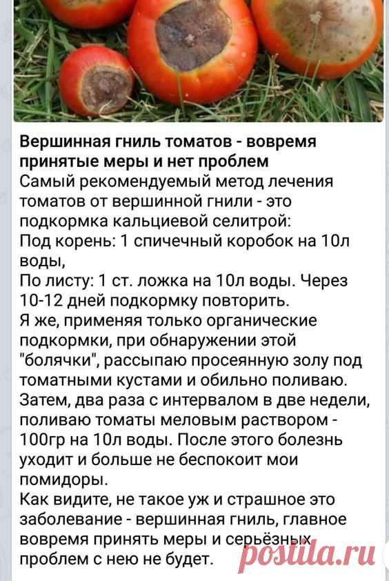 (998) Pinterest