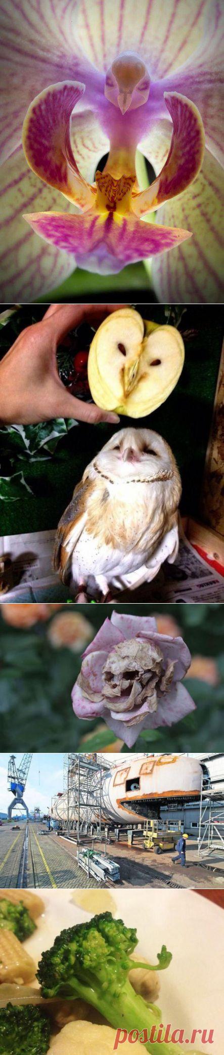 Зрительные иллюзии, которые окружают нас в повседневной жизни - Фотопанорама