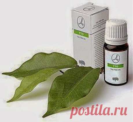 Капля масла – и жизнь снова прекрасна! | Друг пенсионера
Я учился в институте, и вот как раз подошло время сессии. Думаю, студенты всегда были и будут одинаковы. Прогулы во время семестра, веселые посиделки в кругу друзей и непременно с гитарой и, конечно же, никаких учебников и конспектов. Зато потом бессонные ночи, встречи рассветов с чашкой кофе и чужим конспектом и тщетные попытки выучить хоть что-нибудь к экзамену