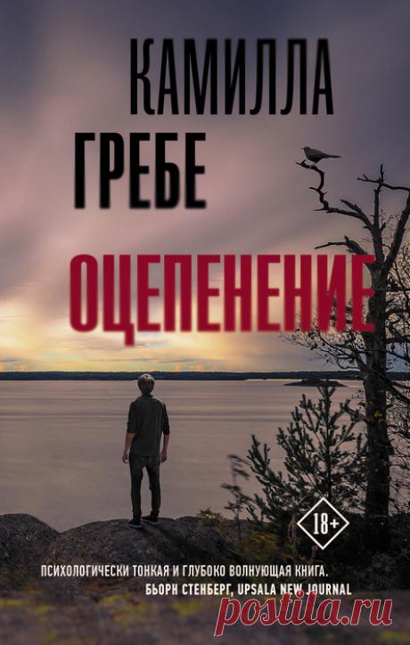 📚 Гребе Камилла/ серия книг "Ханне Лагерлинд-Шён" (скандинавский триллер)*