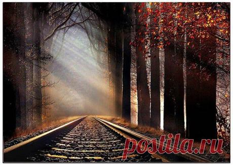 3. Фокусируйтесь на одном
Есть такая поговорка о том, что невозможно одновременно скакать на двух лошадях. Вы можете сделать все, но не все одновременно. Поэтому концентрируйтесь именно на том, что вы делаете в настоящий момент. Ведь сфокусированная энергия – это огромная сила. И это путь к успеху. (А. Эйнштейн)