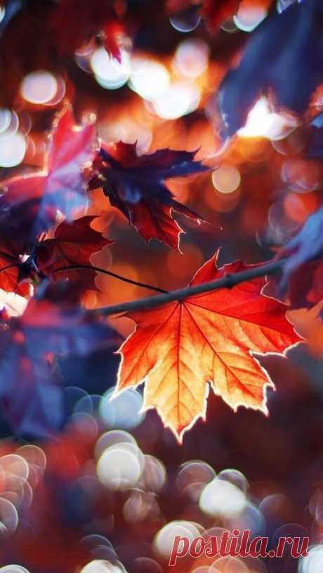 (2) Pinterest