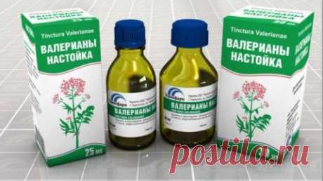 Капли валерианы — помощник нашему здоровью
