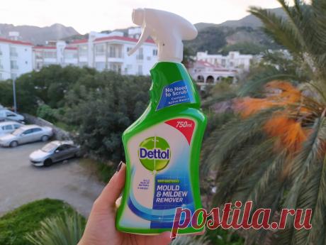 Как избавиться от плесени? | TRSKINFO Портал о Северном Кипре Практически каждого жителя Северного Кипра волнует данный вопрос в зимнее время. Ведь даже новые квартиры покрываются плесенью, не смотря на отопление квартир и проветривание. Как уничтожить плесень в…