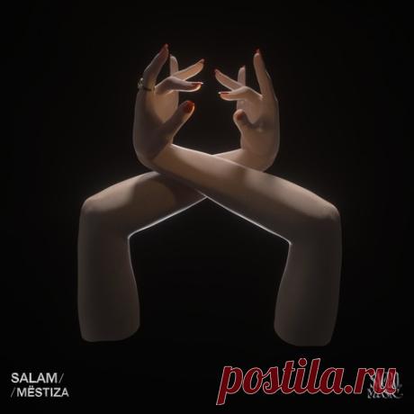 Download Mëstiza - Salam [DWME2602] - Afro House - MusicVibez Download Mëstiza - Salam [DWME2602] in 320 kbps, FLAC and WAV — fresh DJ releases Label Sacro Music Styles Afro House Date 2026-03-20 Catalog # DWME2602 Length 5:50 Tracks 1