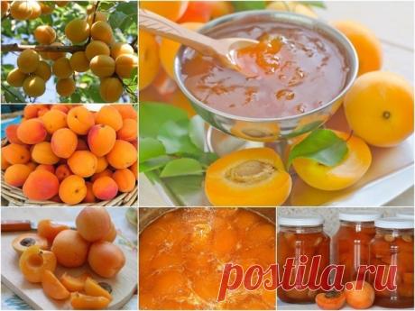Абрикосовое варенье. 
Очень вкусное и яркое варенье из абрикосов. 
Приготовить такое варенье не сложно, а его вкус будет напоминать о ярком лете, долгими зимними вечерами. 
Ингредиенты: 
- 1 кг спелых абрикосов, 
- 1 кг сахара. 
Приготовление: 
1. Абрикосы хорошо помыть, разрезать пополам и удалить косточки. 
2. Переложить порезанные абрикосы в глубокую емкость. Засыпать сахаром. По возможности, оставить абрикосы с сахаром на ночь. 
3. Поставить емкость на плиту и на медле...
