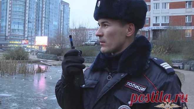 Двое детей провалились под лед в Татарстане. В Казани полицейский и два сотрудника Росгвардии спасли двух детей, которые провалились под лед на пруду. Об этом сообщает "МВД Медиа". Инцидент произошел в Советском районе республиканской столицы. Как рассказал старший сержант ...