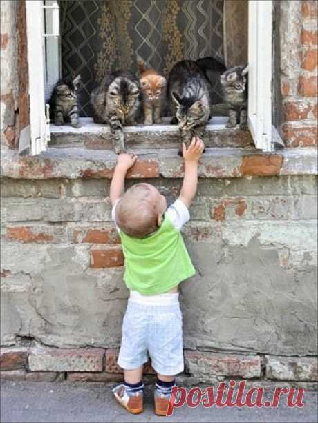 (17) Pinterest