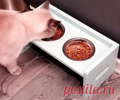 Кормушка для кошек и собак своими руками | 33 Поделки | Яндекс Дзен