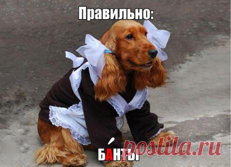 Стена