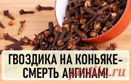 Настойка гвоздики на коньяке — смерть ангинам! Хочу предложить свой рецепт от ангины и воспаления миндалин.Его дал моему мужу врач — у мужа были частые ангины, и встал вопрос об удалении миндалин. Муж ужасно боялся операции, и рецепт оказался кстати.