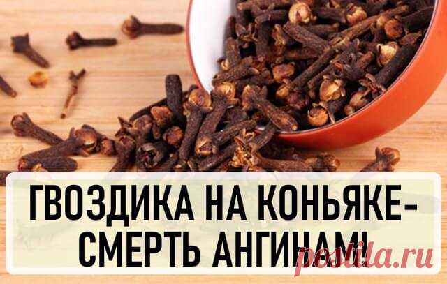 Настойка гвоздики на коньяке — смерть ангинам! Хочу предложить свой рецепт от ангины и воспаления миндалин.Его дал моему мужу врач — у мужа были частые ангины, и встал вопрос об удалении миндалин. Муж ужасно боялся операции, и рецепт оказался кстати.
