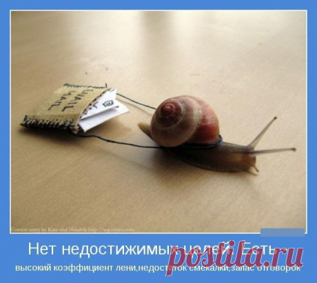 1585393881_15.jpg (644×574)