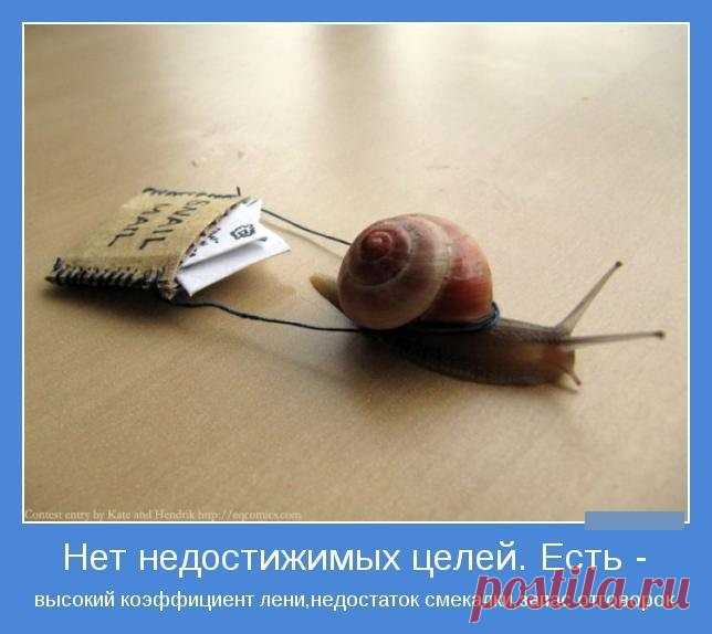 1585393881_15.jpg (644×574)