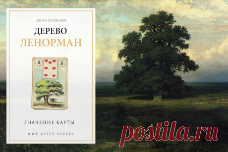 Значение карты Ленорман: Дерево