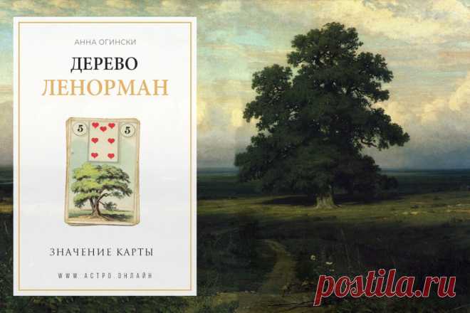 Значение карты Ленорман: Дерево