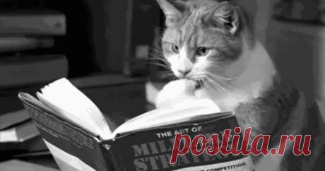 Бесплатные онлайн-курсы от европейских и американских вузов - В городе