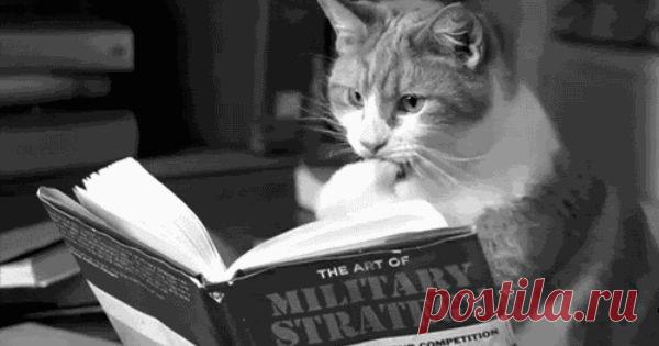 Бесплатные онлайн-курсы от европейских и американских вузов - В городе