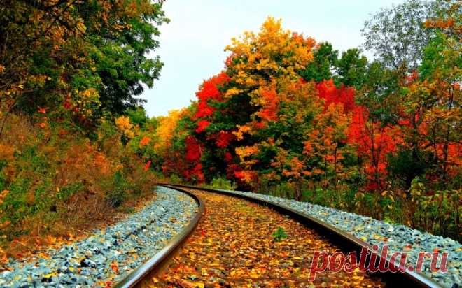 природа рельсы осень листья деревья nature rails autumn leaves trees Скачать картинку 1920x1200 природа рельсы осень листья деревья nature rails autumn leaves trees