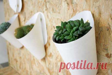 Creative Indoor Vertical Wall Gardens