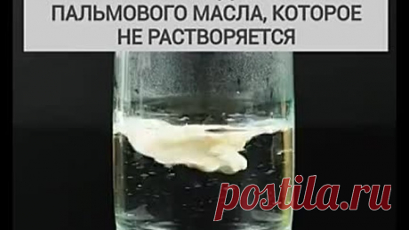 Это обязательно нужно посмотреть ВСЕМ!!!