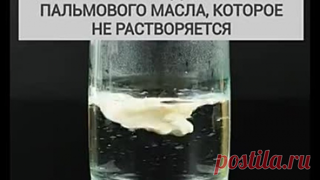 Это обязательно нужно посмотреть ВСЕМ!!!