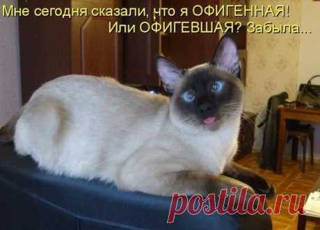 | ВКонтакте