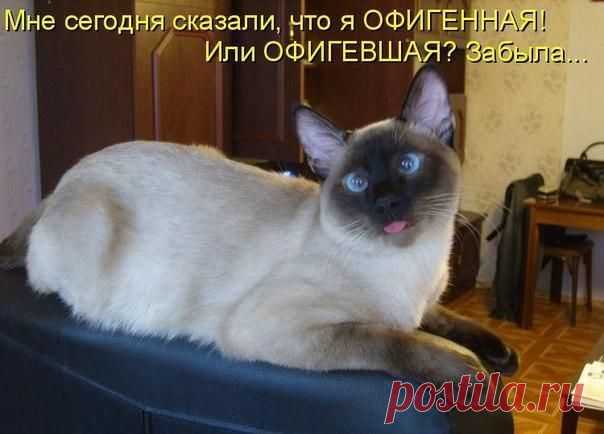 | ВКонтакте