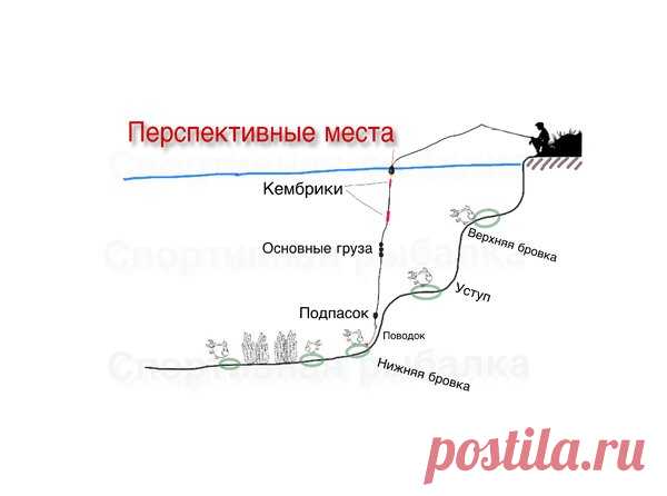 Часть 2. Болонская удочка. | Блоги о даче и огороде, рецептах, красоте и правильном питании, рыбалке, ремонте и интерьере