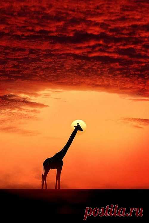 The Saint… | Colorful skies