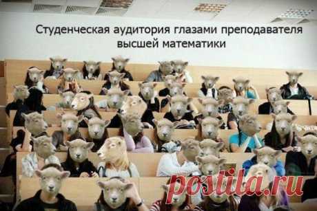 Анекдот из жизни студентов "Каким местом ты решила задачку?" | Новостной портал foto-elf: свежие новости России и мира