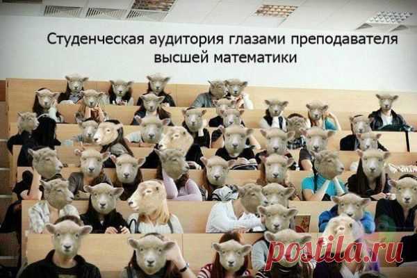 Анекдот из жизни студентов 