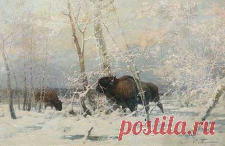 Евгений Техменев «Зубры в зимнем лесу»